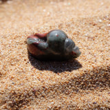 African Bloodstone Crystal Seashell