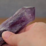 Amethyst Crystal Dragon Tooth