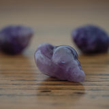 Amethyst Crystal Seashell