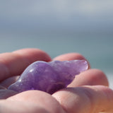 Amethyst Crystal Seashell