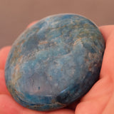 Apatite Crystal Disc Palm Stone