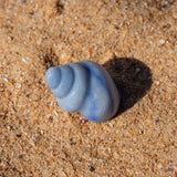 Blue Aventurine Crystal Seashell