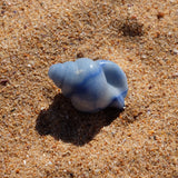Blue Aventurine Crystal Seashell