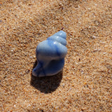Blue Aventurine Crystal Seashell