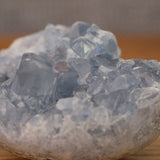 Blue Celestite Crystal Heart Cluster