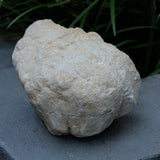 Clear Quartz Crystal Cut Pair Geode