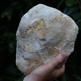 Clear Quartz Crystal Cut Pair Geode