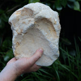 Clear Quartz Crystal Cut Pair Geode