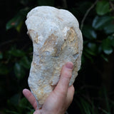 Clear Quartz Crystal Cut Pair Geode