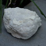 Clear Quartz Crystal Cut Pair Geode