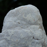 Clear Quartz Crystal Cut Pair Geode