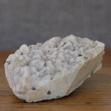 Clear Quartz with Pyrite Crystal Cluster