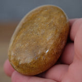 Golden Healer Quartz Crystal Palm Stone
