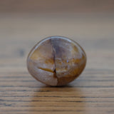 Golden Healer Tumbled Stone