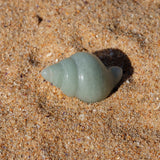 Green Aventurine Crystal Seashell