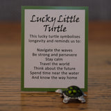 Lucky Little Turtle Token and Charm