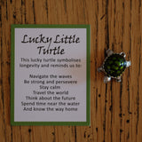 Lucky Little Turtle Token and Charm