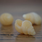 Orange Calcite Crystal Seashell