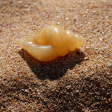 Orange Calcite Crystal Seashell