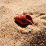 Red Jasper Crystal Seashell