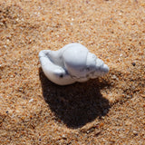 White Howlite Crystal Seashell