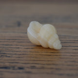 Yellow Jade Crystal Shell