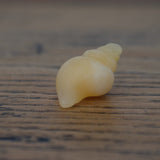 Yellow Jade Crystal Shell