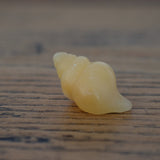 Yellow Jade Crystal Shell