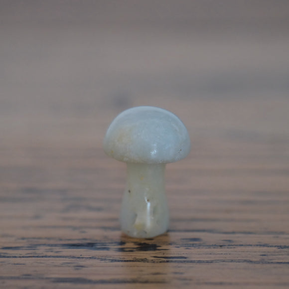 Amazonite Crystal Mushroom