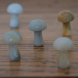 Amazonite Crystal Mushrooms