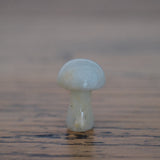 Amazonite Crystal Mushroom