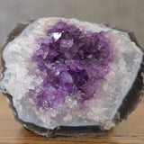 Amethyst Crystal Cluster