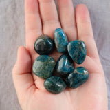 Apatite Crystal Tumbled Stones