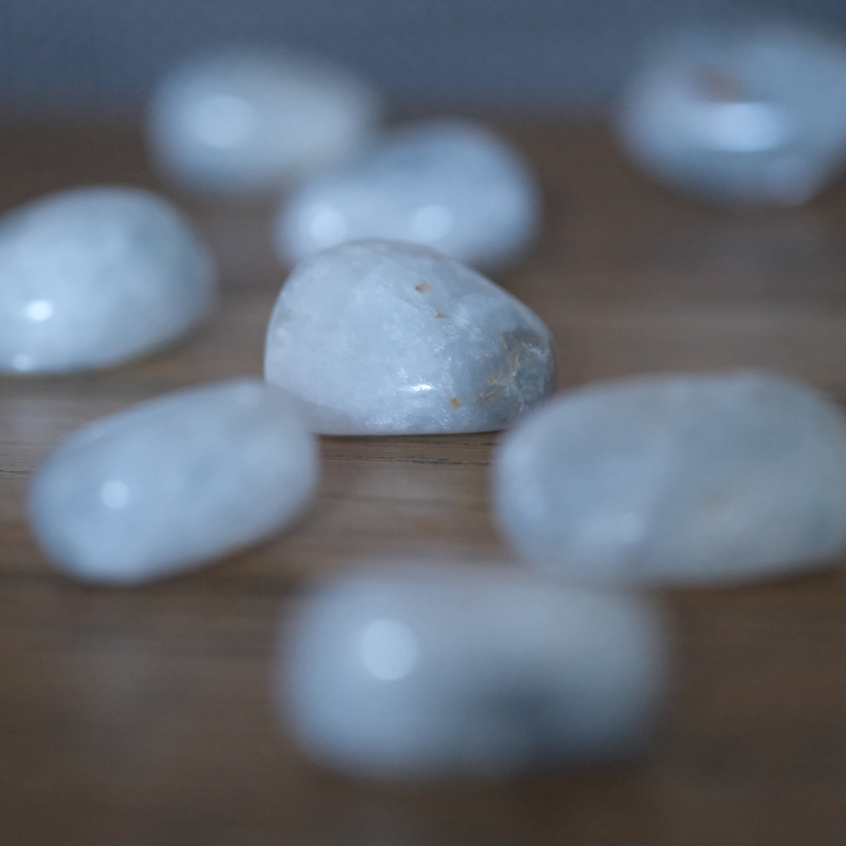 Celestite Tumbled Stone Large – Words of Wisdom