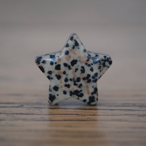 Dalmatian Jasper Crystal Star