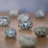 Dalmatian Jasper Crystal Tumbled Stone