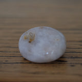 Dendritic Agate Crystal Tumbled Stone