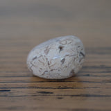 Dendritic Agate Crystal Tumbled Stone