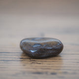Happiness Crystal Wisdom Kit Bronzite Tumbled Stone