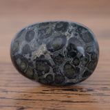 Kambaba Jasper Crystal Palm Stone