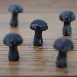 Larvikite Crystal Mushrooms