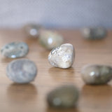 Ocean Jasper Crystal Tumbled Stone