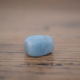 Protection Crystal Wisdom Kit Amazonite Tumbled Stone
