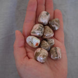 Rhodochrosite Crystal Tumbled Stones