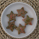 Unakite Crystal Star